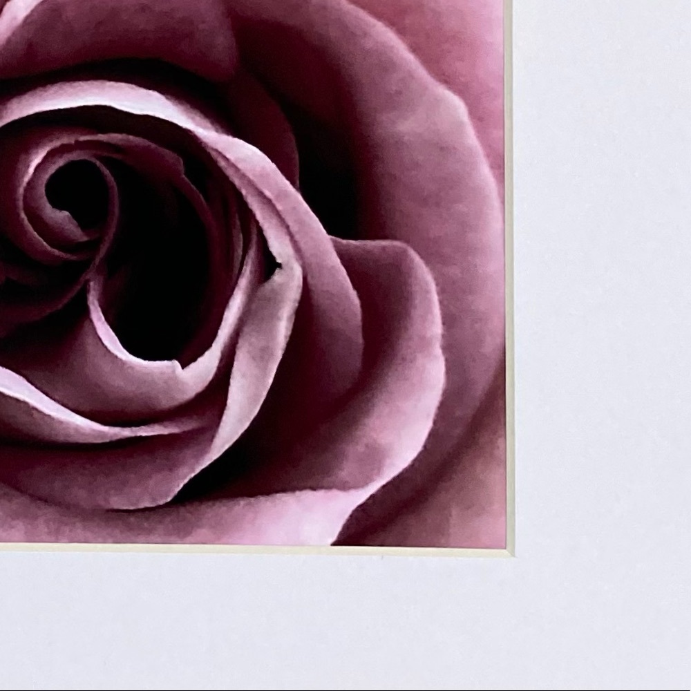 ❌SOLD❌BELLA DONNA” ~ ORIGINAL ART by ~ @lisamichellebeckerphotography - Picture 4 of 14